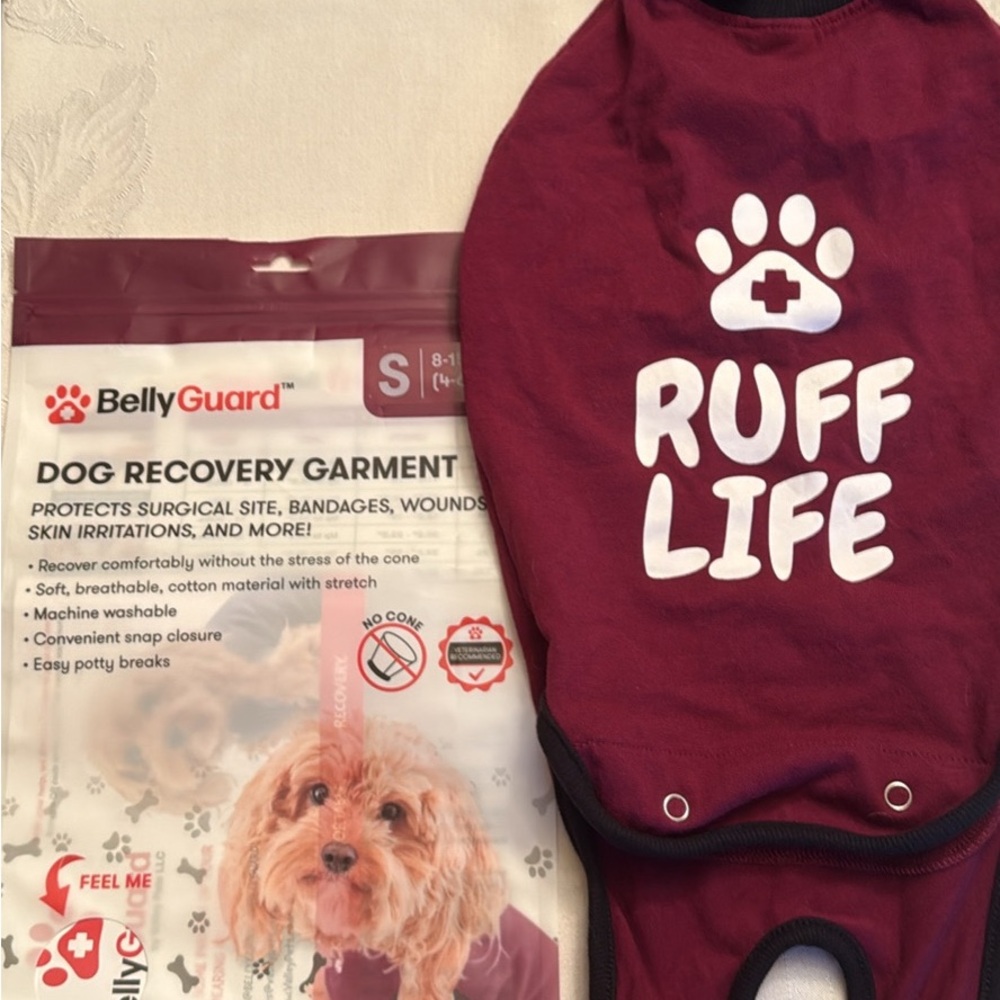 Red Dog Clothing with Paw Print Design